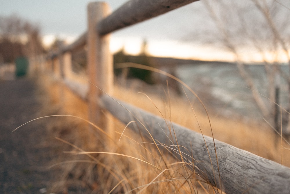 a close up of a fence with a field in the background