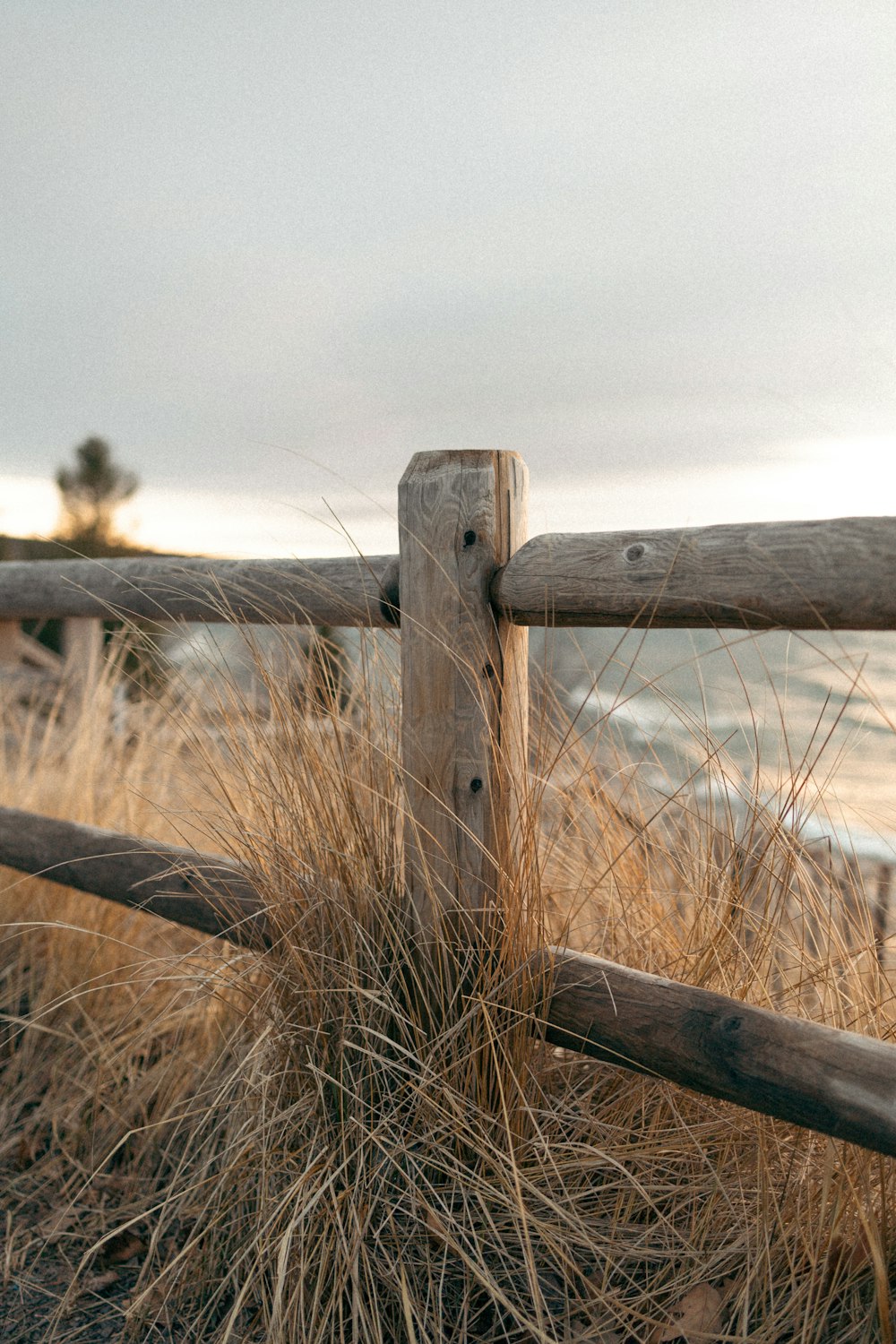 a close up of a wooden fence near the ocean