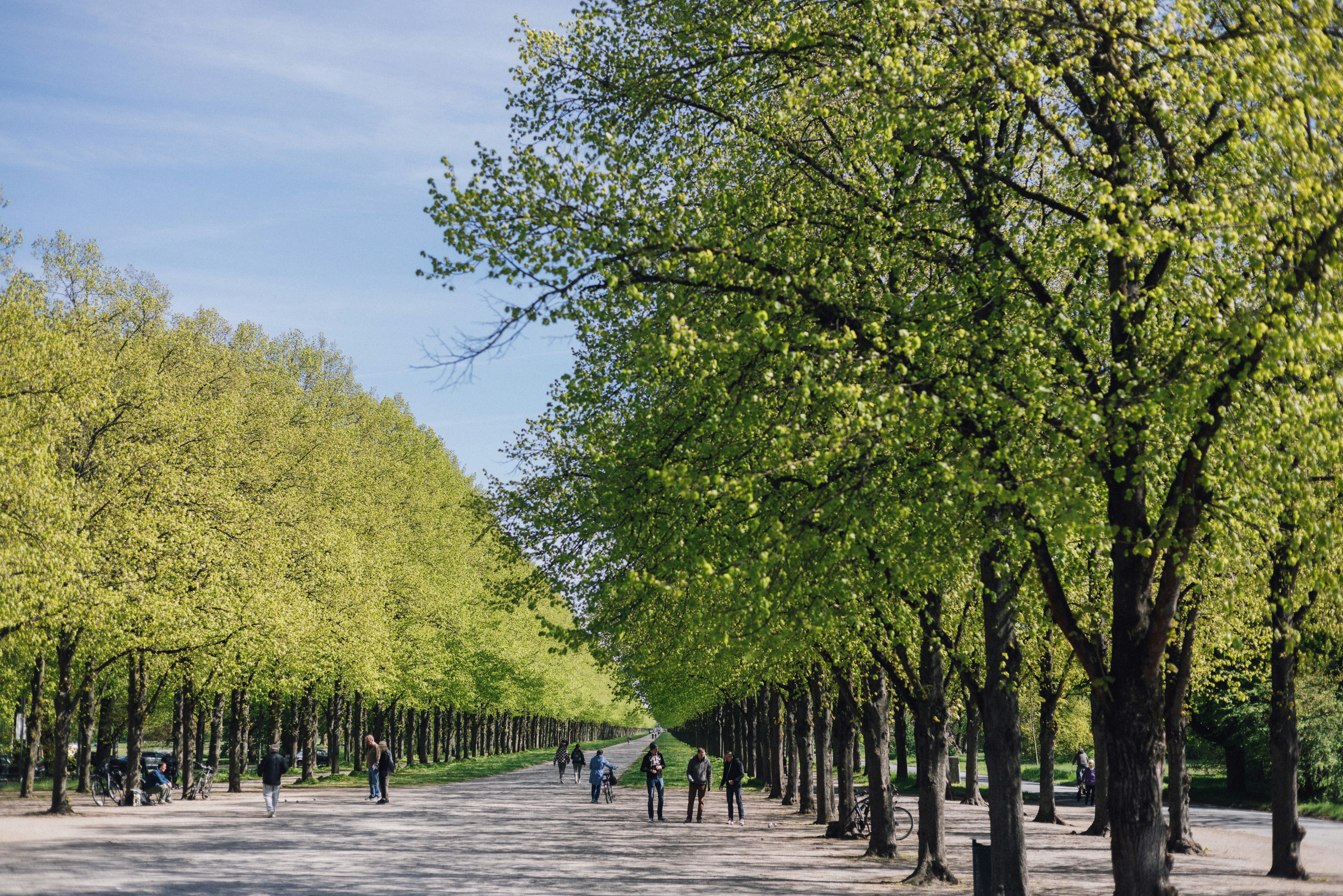 Photo by filipp_roman_photography