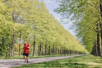 A person jogging in a sunny park surrounded by green trees.