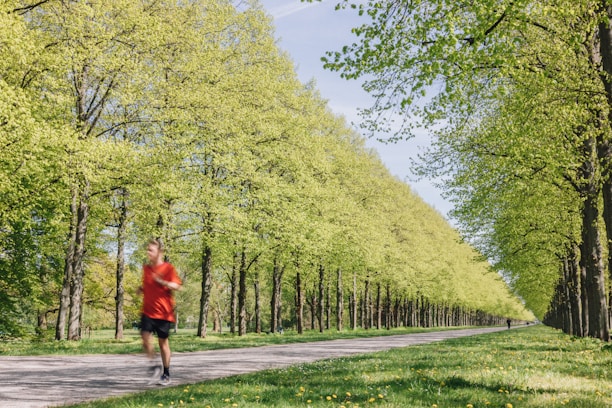 A cheerful person jogging in a sunny park surrounded by green trees.