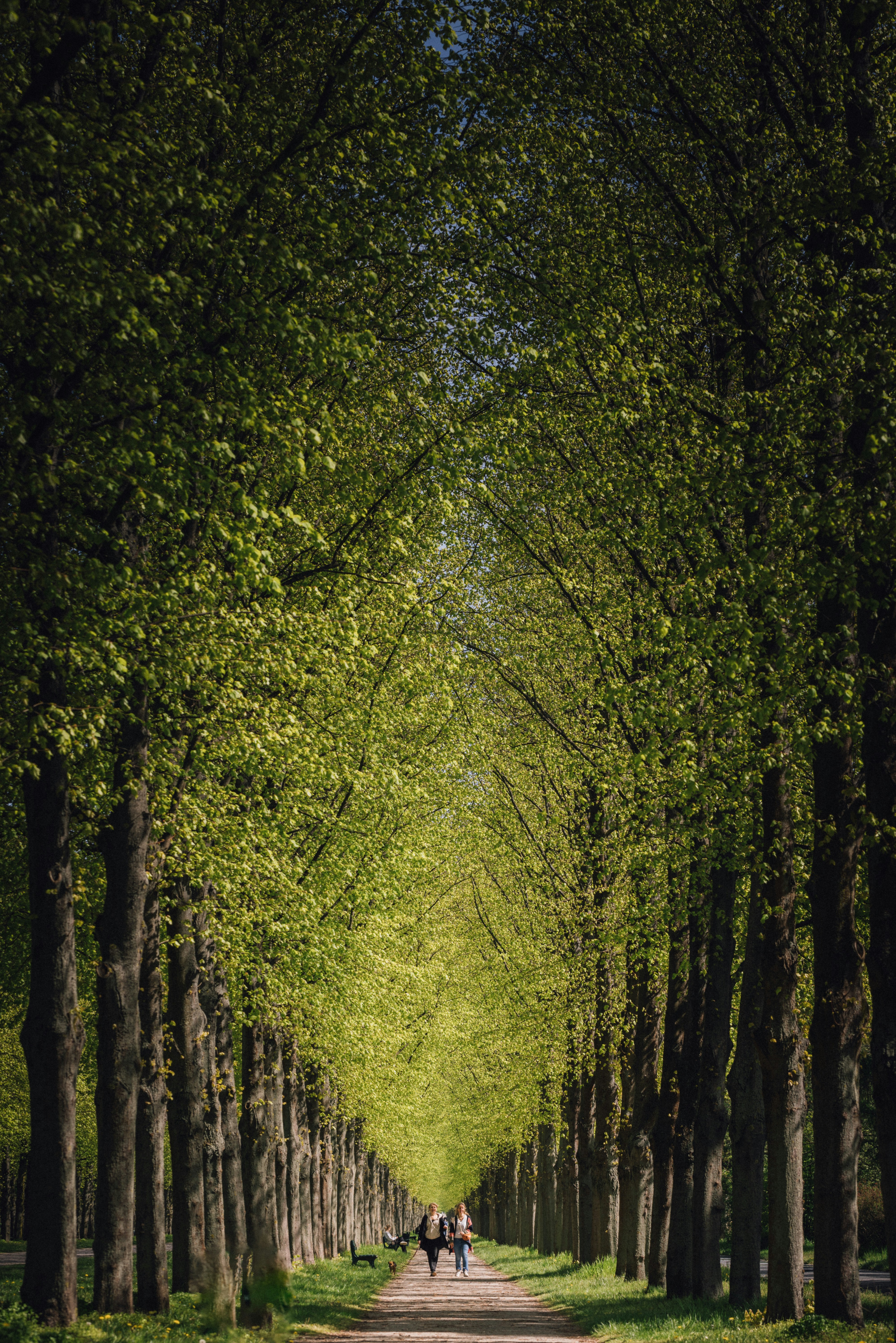 Photo by filipp_roman_photography