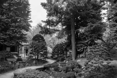 A peaceful Japanese garden symbolizing balance in financial planning.