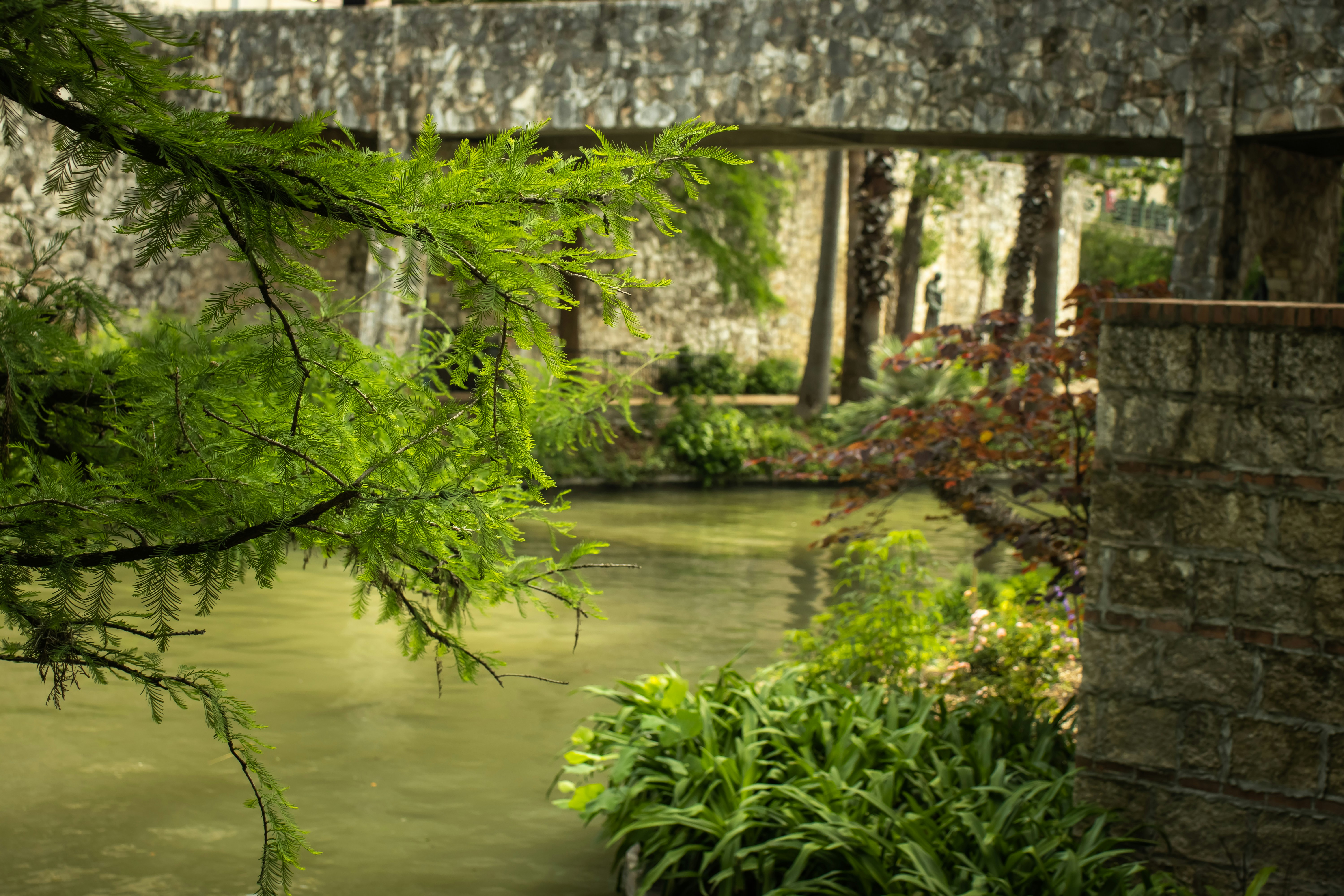 Photo by brice_cooper18