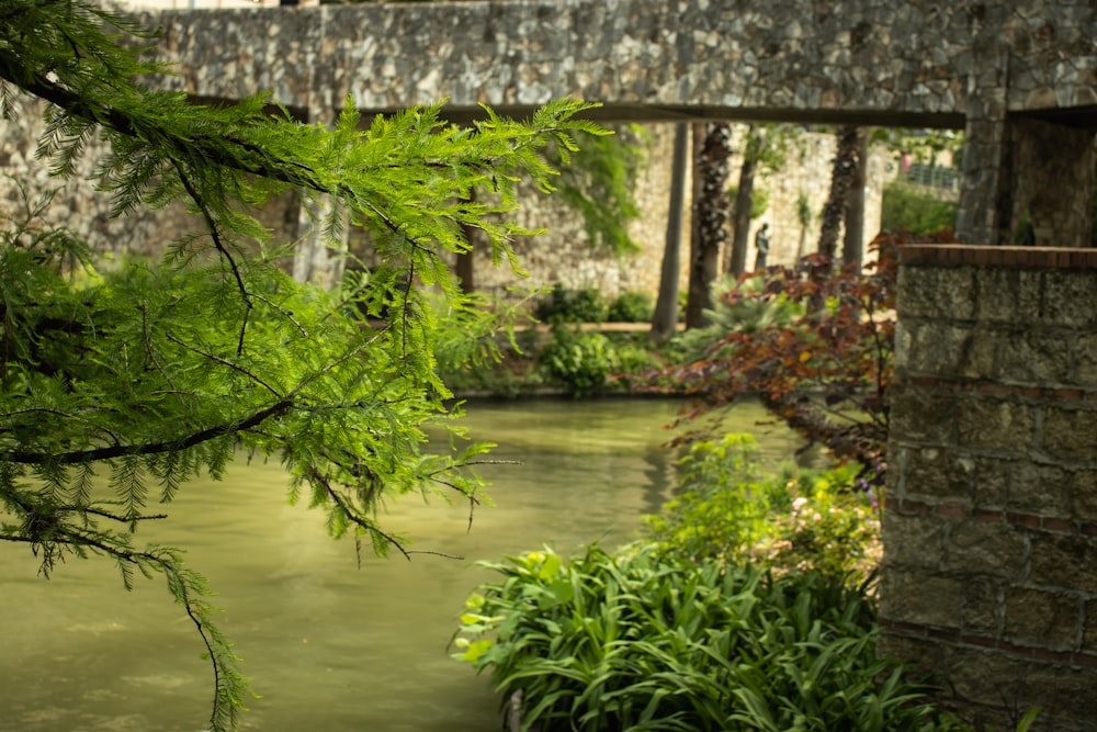 Un puente de piedra sobre un río junto a un frondoso bosque verde