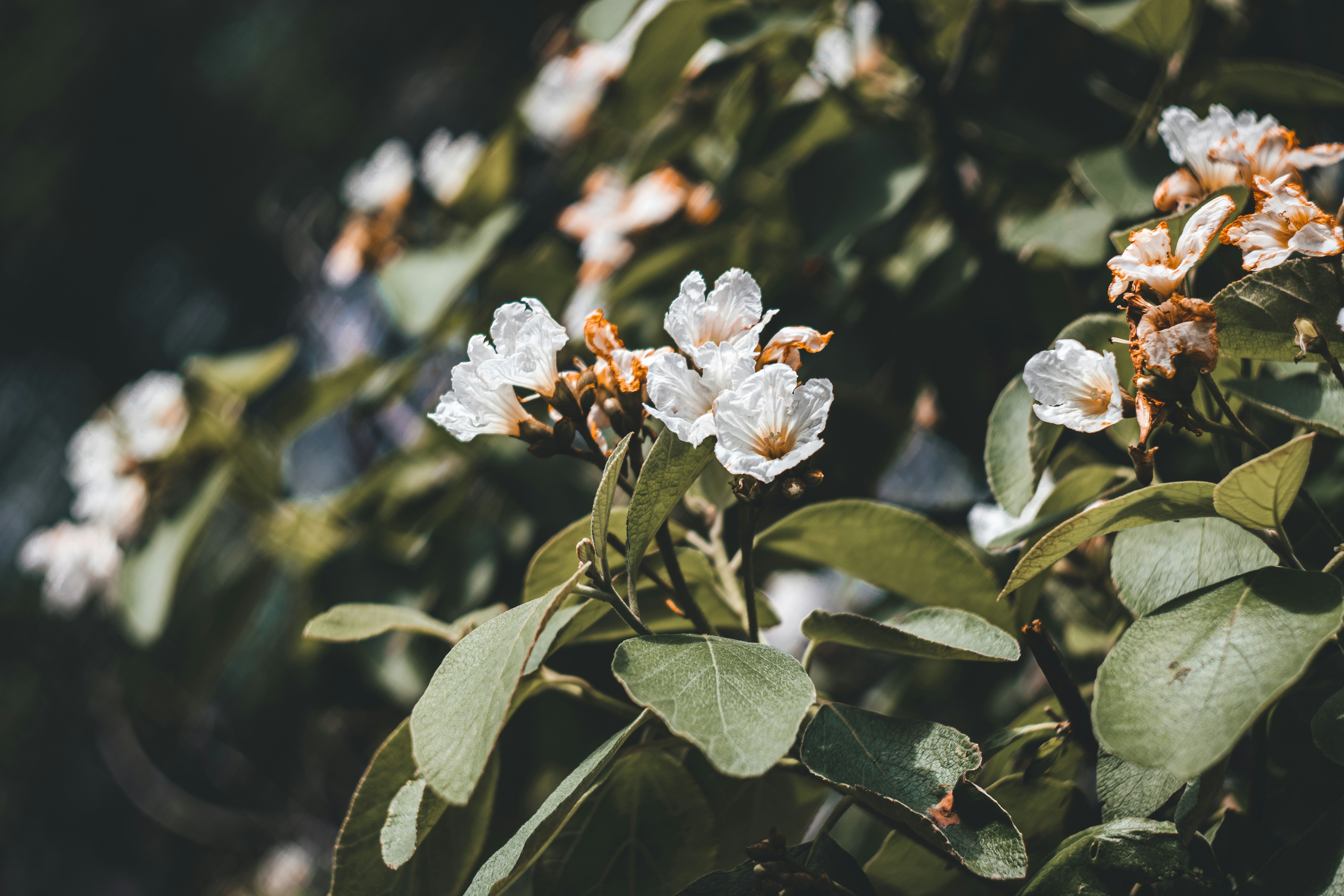 Photo by brice_cooper18