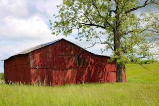 a red barn in a field with a tree