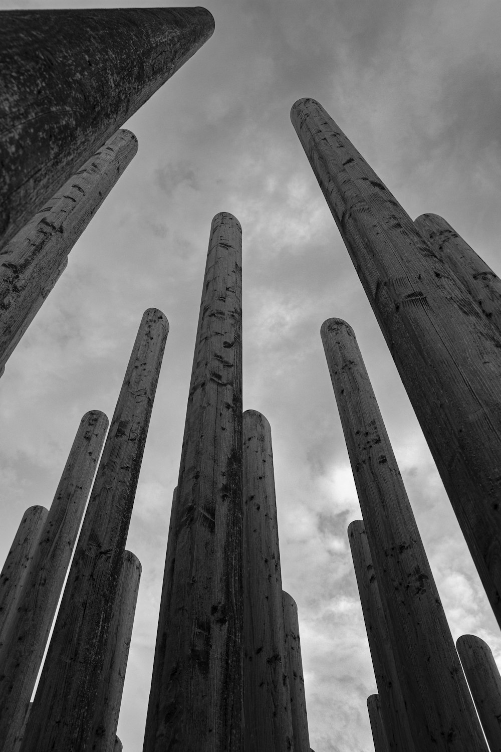 a black and white photo of a group of pillars