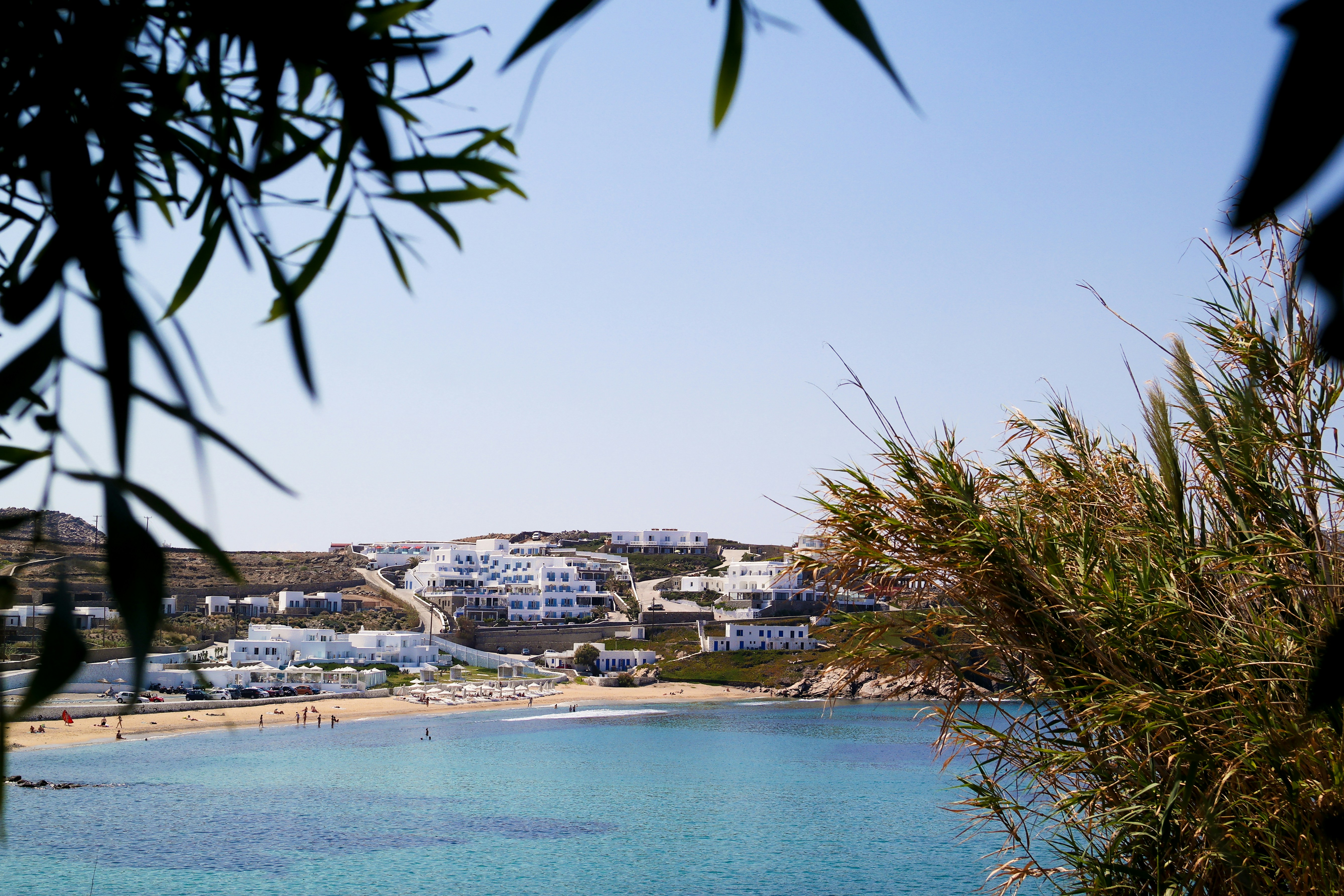 Photo by indigoandblack