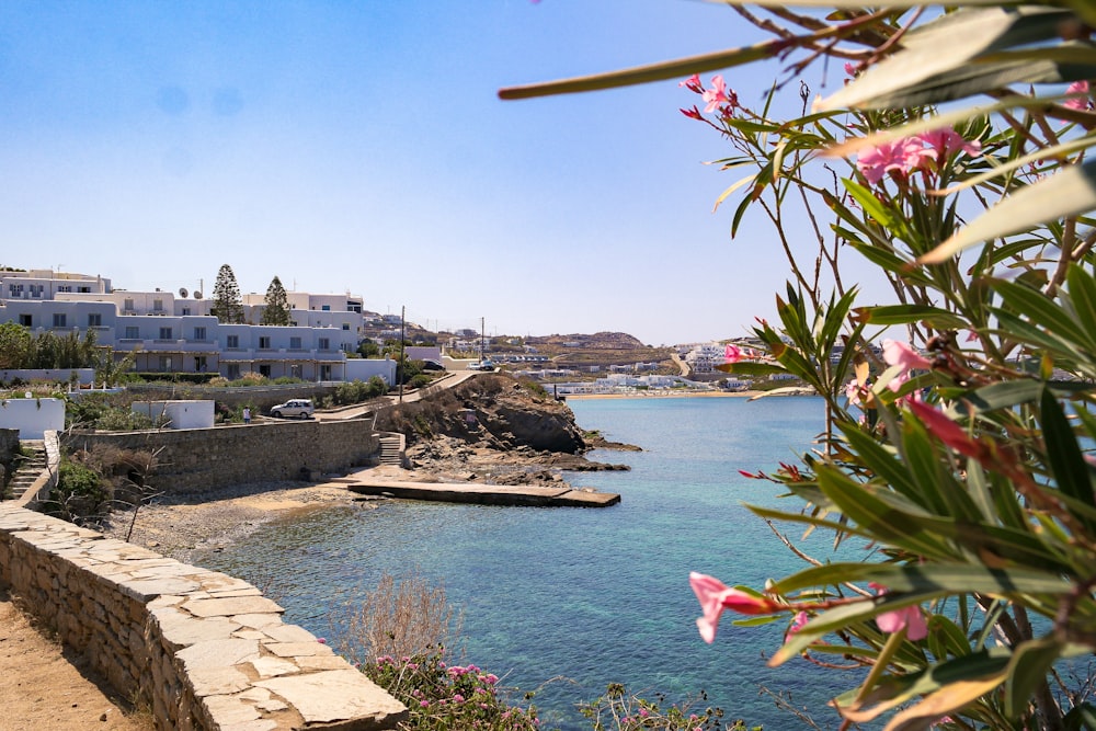 a view of a body of water with buildings in the background