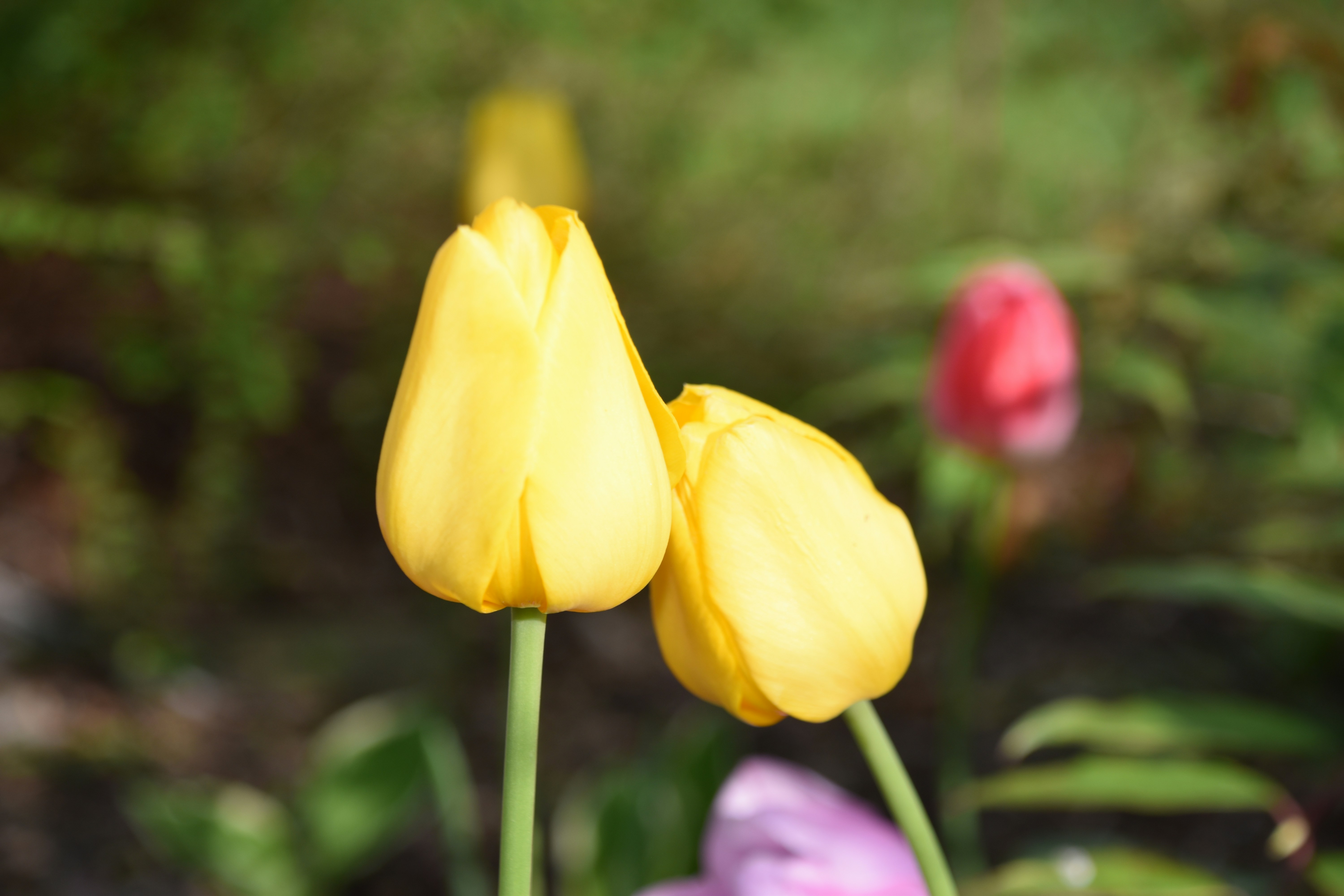 Photo by cindie_photographer