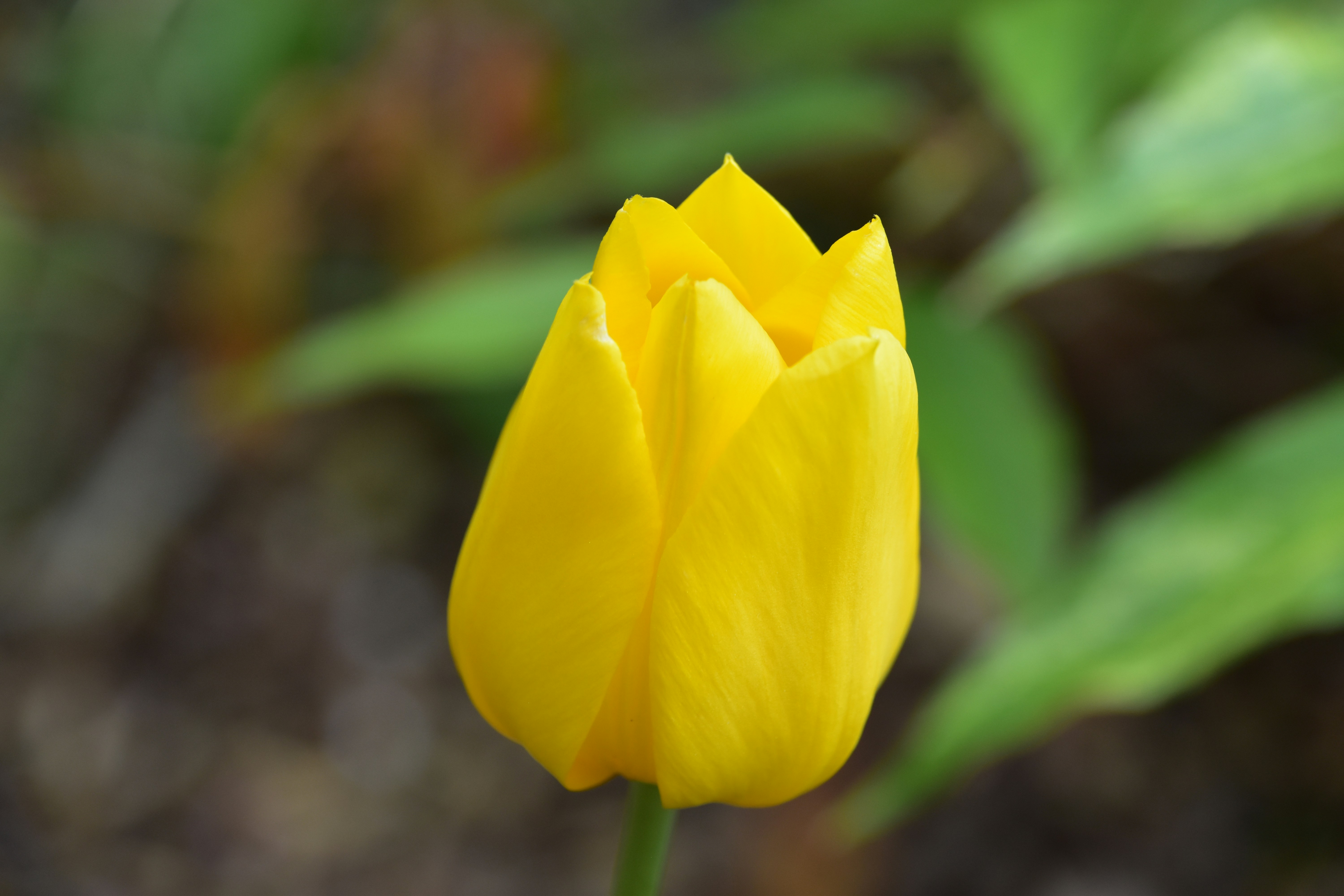 Photo by cindie_photographer