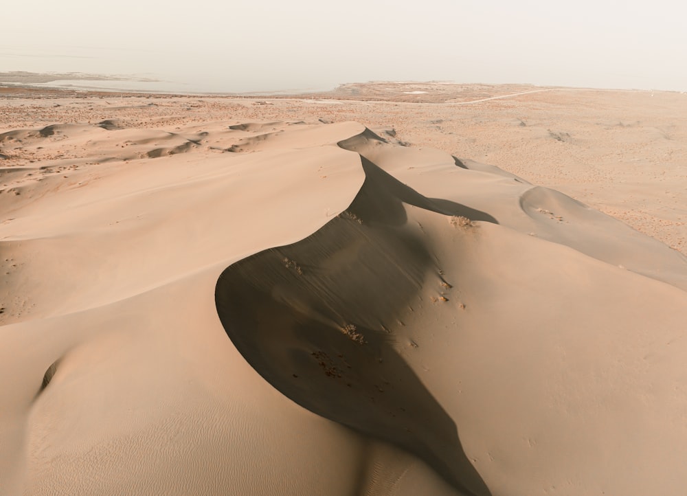 a desert landscape with sand dunes and sparse trees