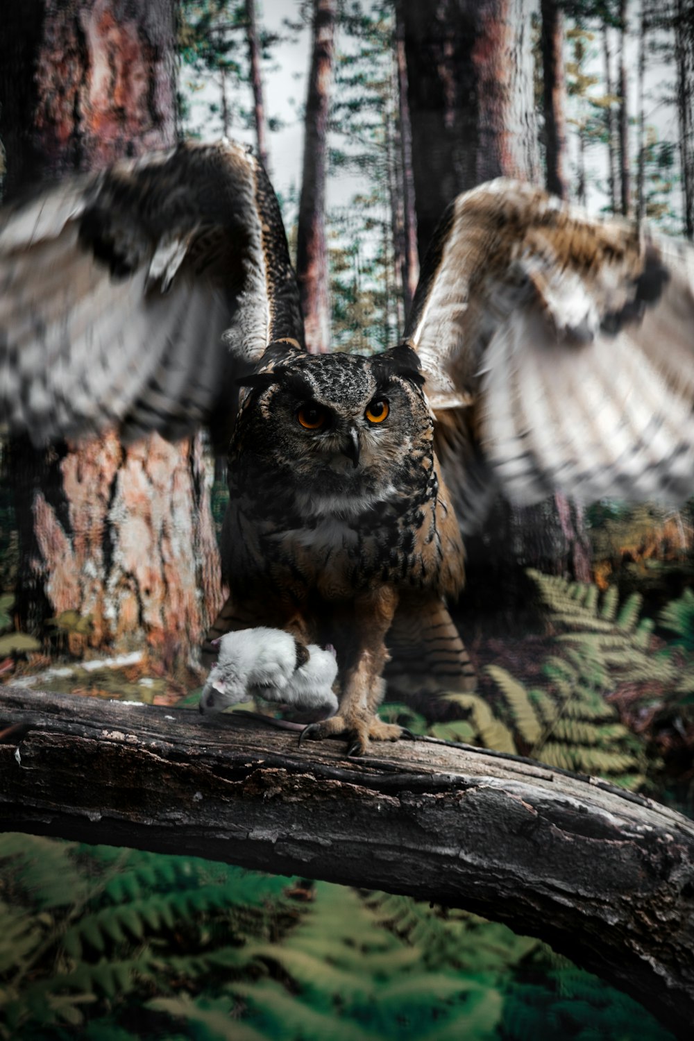 an owl sitting on a branch with its wings spread