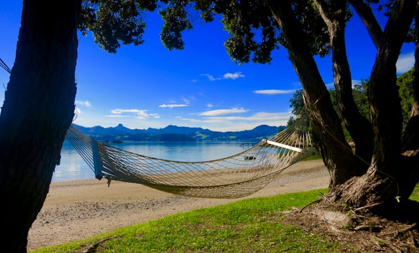 A stylish hammock suspended between two trees with a scenic view.