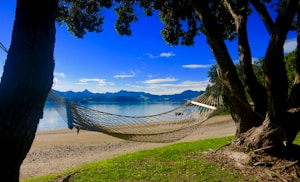 Travel Hammock