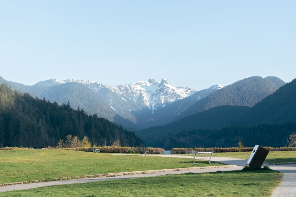 a grassy field with mountains in the background