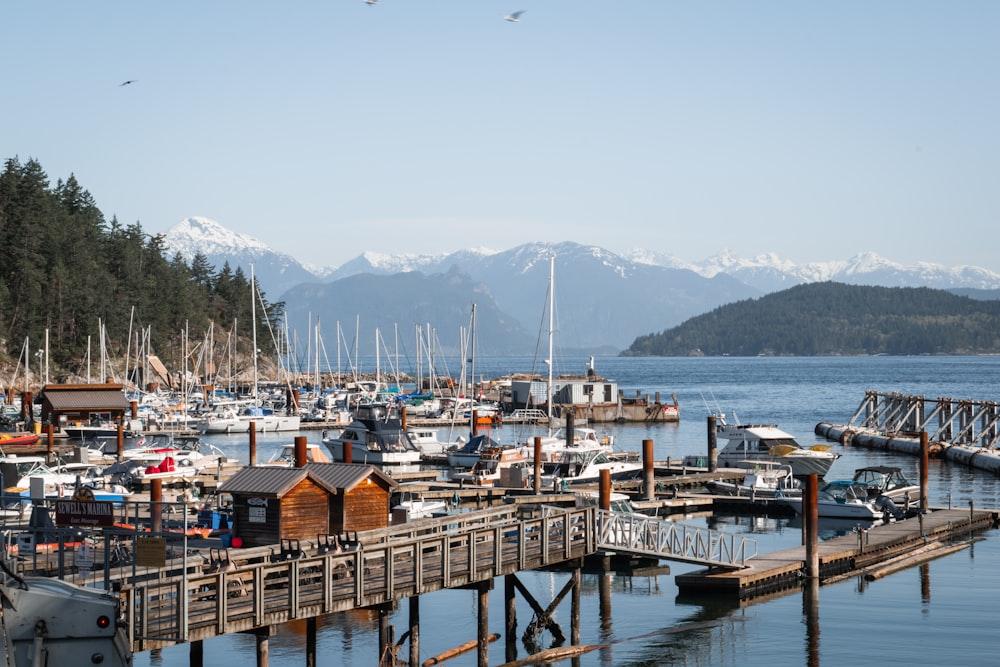 a marina with boats and mountains in the background