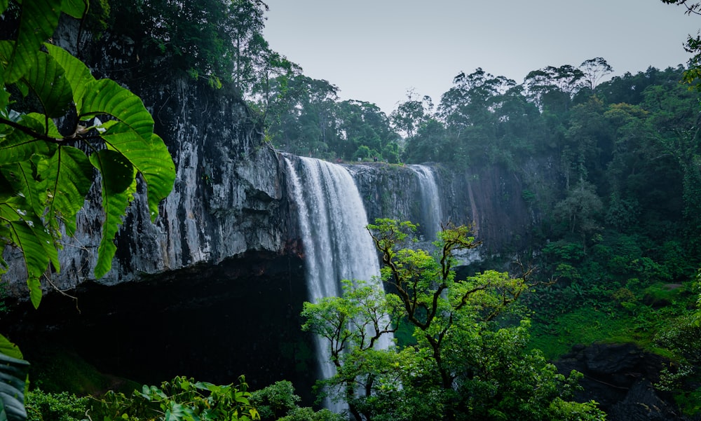 a large waterfall in the middle of a forest