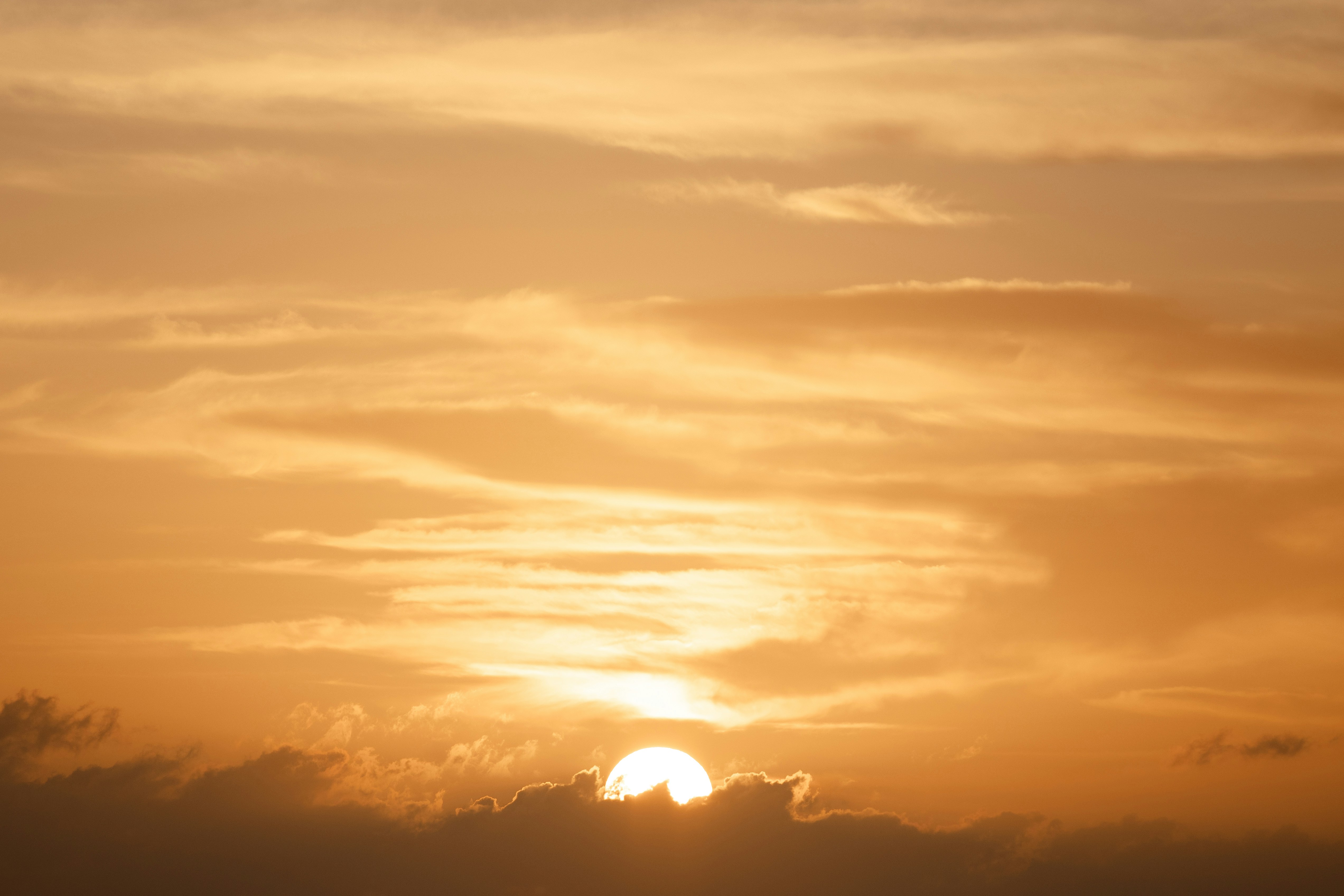 Photo by joshwithers