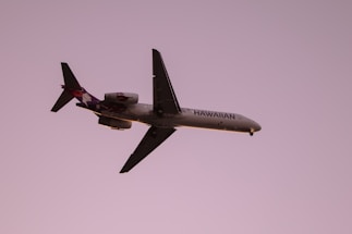 A commercial airplane, branded with Hawaiian Airline's logo and colors, is in mid-flight against a solid purple sky backdrop. The plane is well-illuminated with details visible on its fuselage and wings, suggesting it is flying during sunset or sunrise.