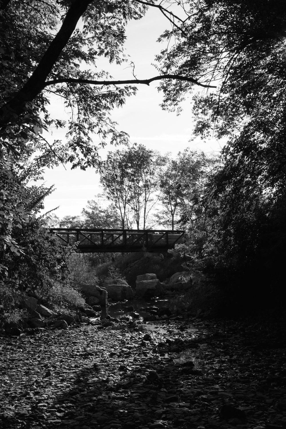 a black and white photo of a bridge over a stream
