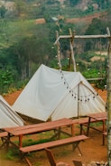 A serene outdoor setting featuring white canvas tents set up on a brown dirt ground. Wooden picnic tables and benches are arranged in front of the tents. A rustic wooden frame holds a string of unlit round bulb lights, and a lush green forest serves as the backdrop.