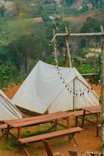 A serene outdoor setting featuring white canvas tents set up on a brown dirt ground. Wooden picnic tables and benches are arranged in front of the tents. A rustic wooden frame holds a string of unlit round bulb lights, and a lush green forest serves as the backdrop.