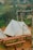 A serene outdoor setting featuring white canvas tents set up on a brown dirt ground. Wooden picnic tables and benches are arranged in front of the tents. A rustic wooden frame holds a string of unlit round bulb lights, and a lush green forest serves as the backdrop.