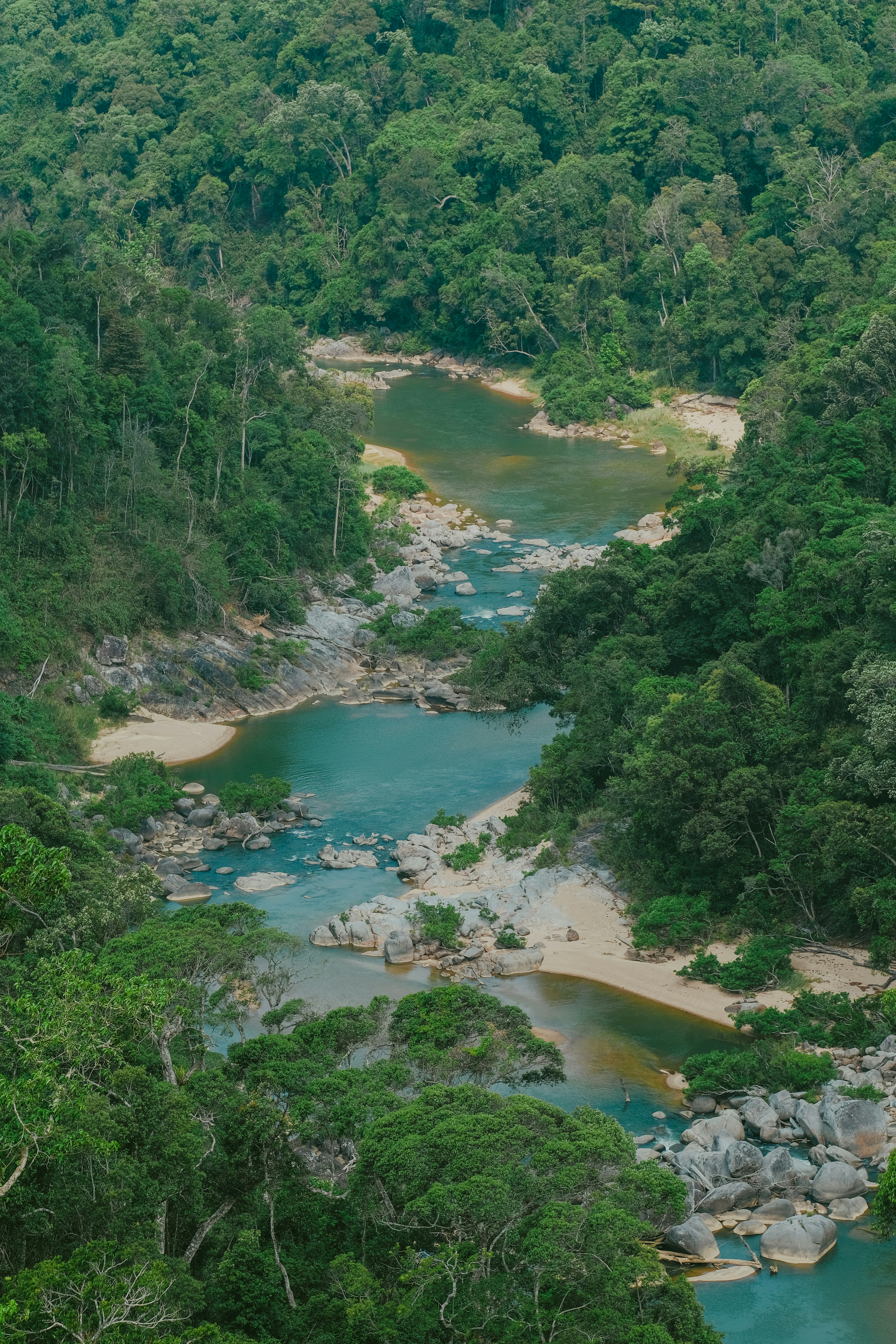 Photo by nguyentrungnguyen