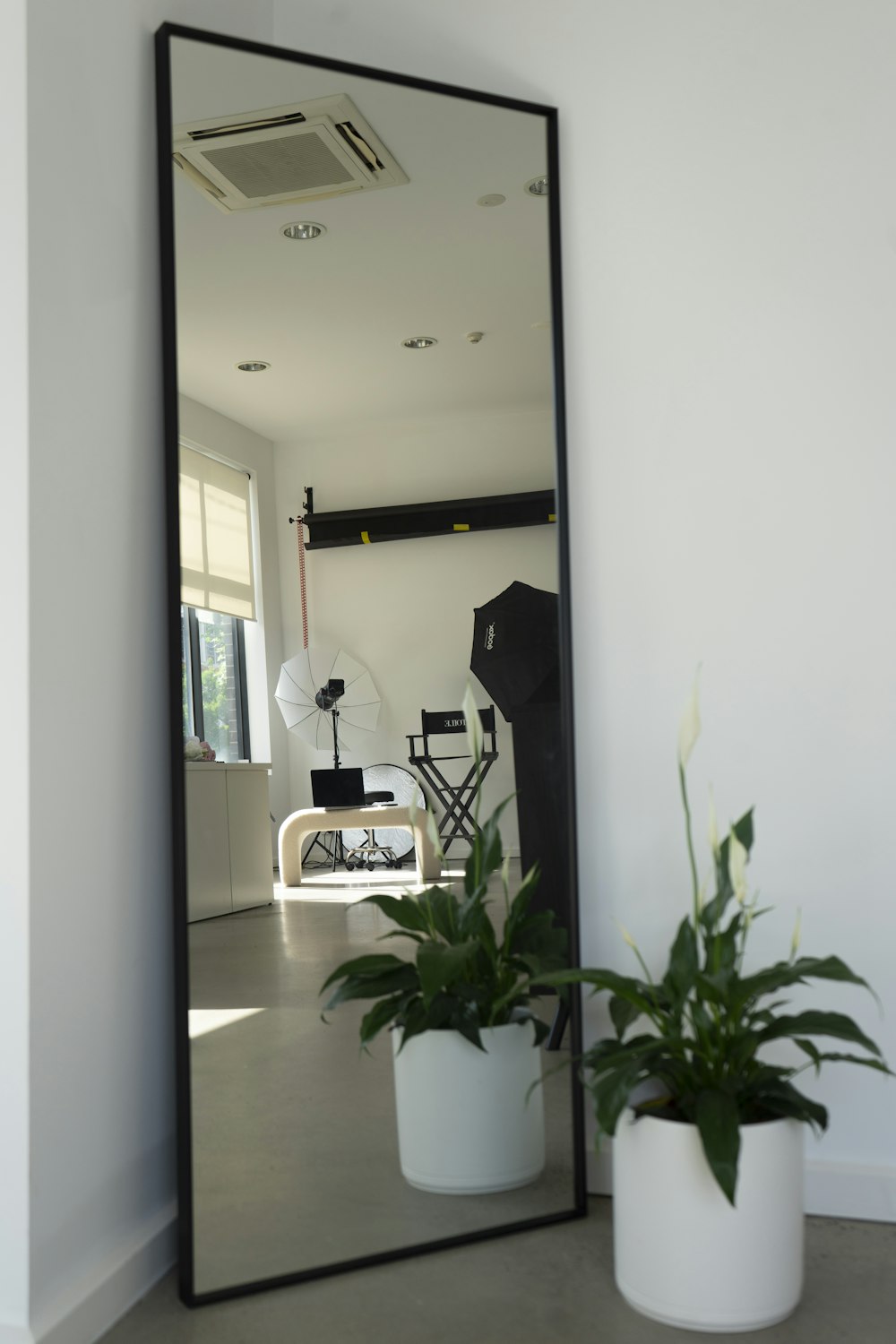 a large mirror sitting next to a potted plant