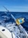 A fishing rod with a gold reel is mounted on the side of a boat, extending over the deep blue ocean. The waves create white foam as the boat moves forward under a clear blue sky.