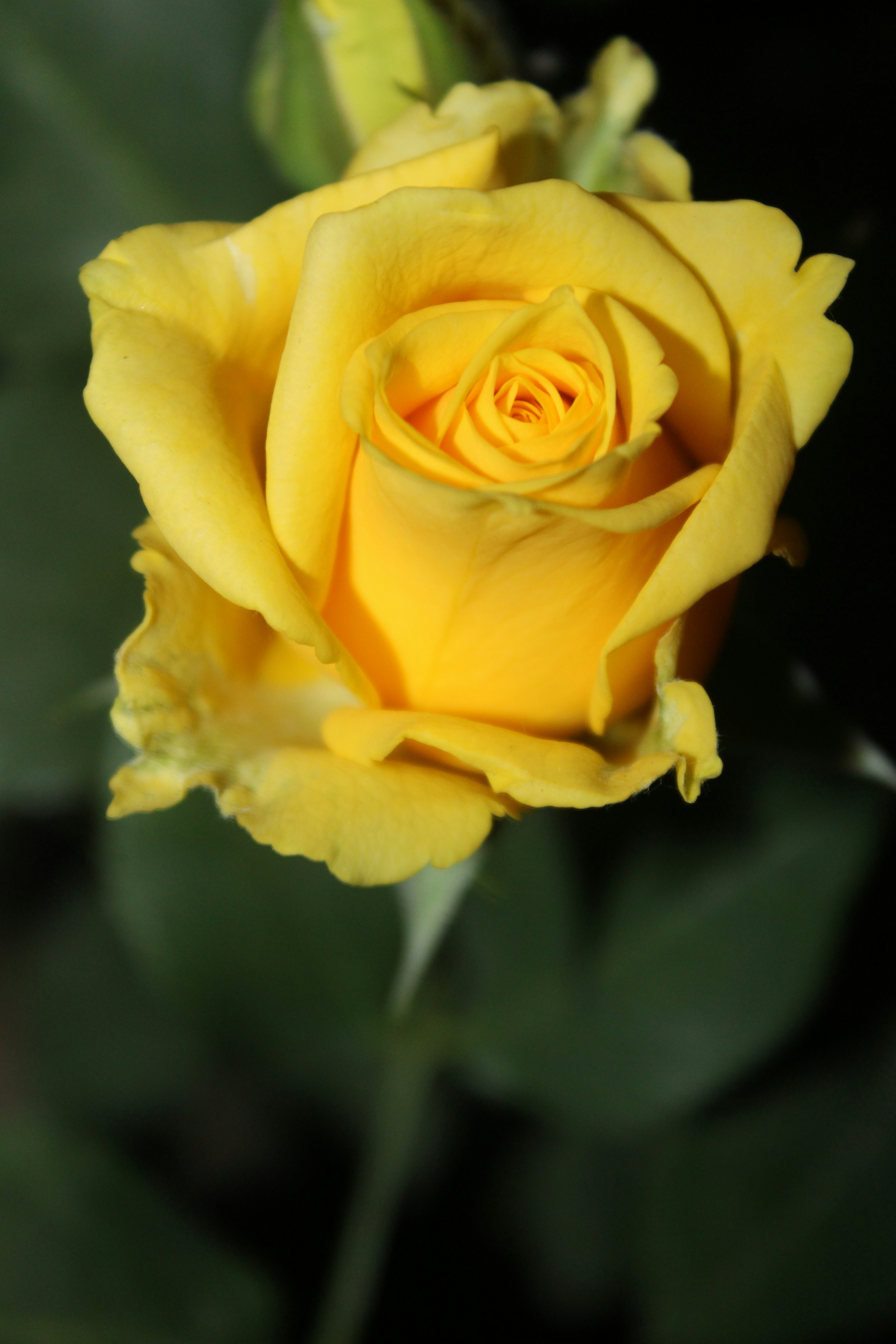 Photo by auto_focus4