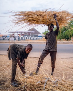 Two young boys are involved in handling bundles of straw. One boy stands upright, balancing a large bundle on his head, while the other boy bends down, smiling, and appears to be tying or gathering straw on the ground. The background includes a paved road and some distant buildings and trees.