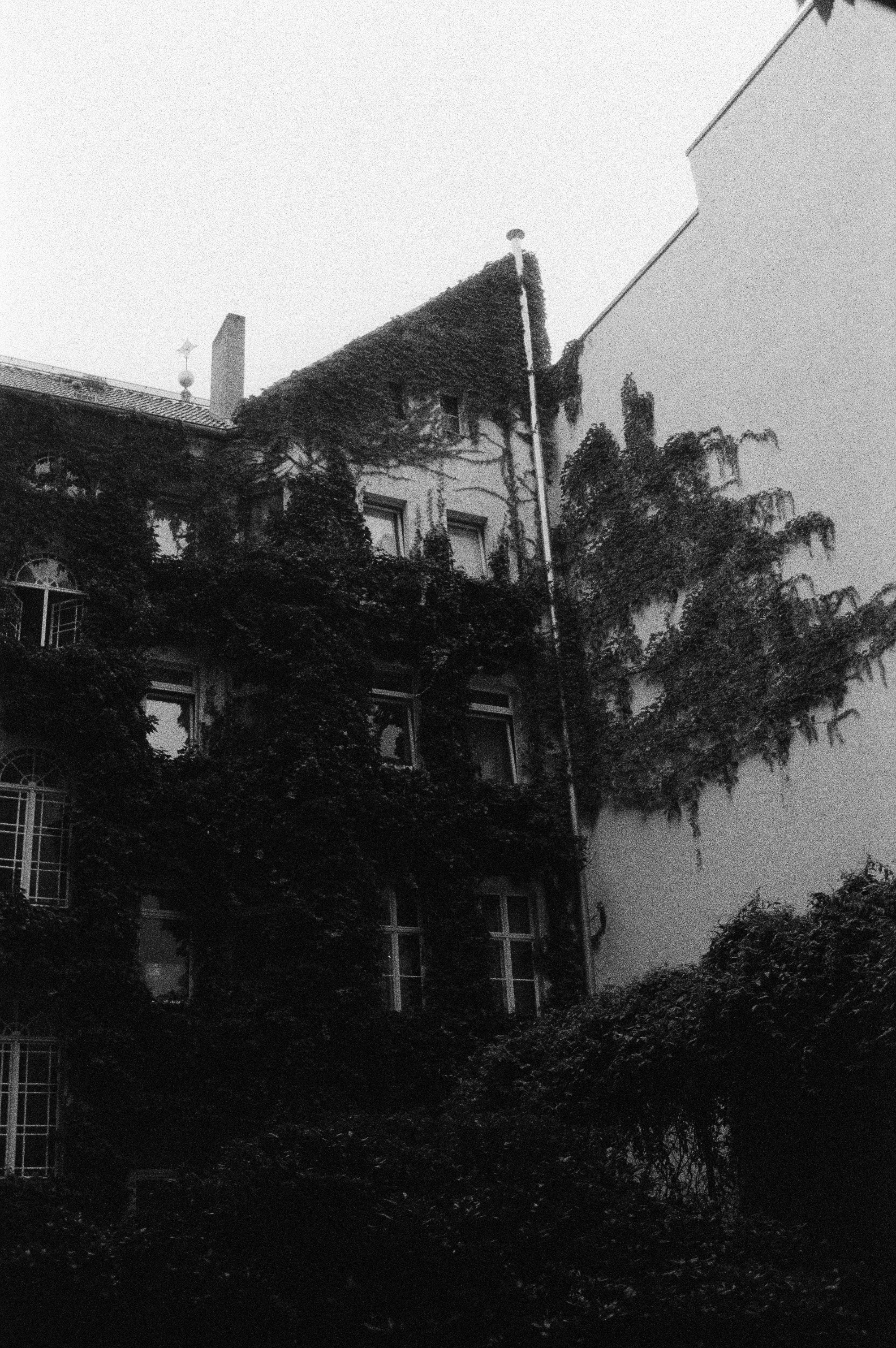 Photo by kzvtsvasmth