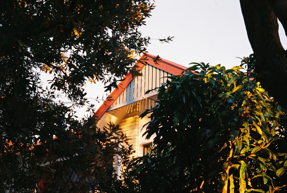 a house is seen through the leaves of a tree