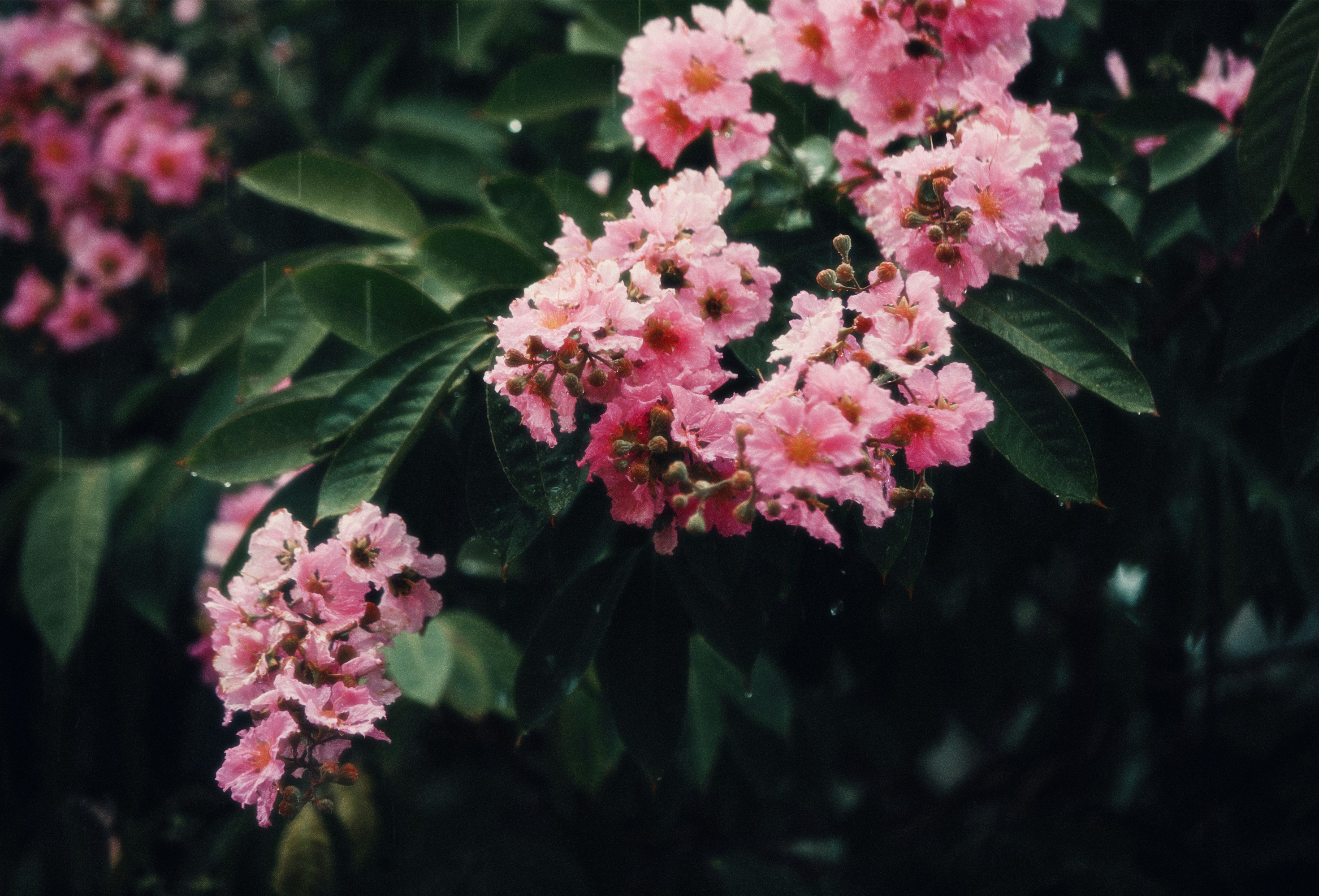 Photo by itsananthakrishnan