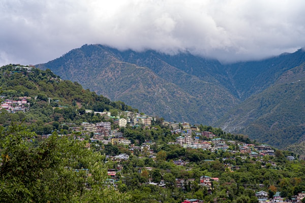 Guided Visit of Dharamshala Town