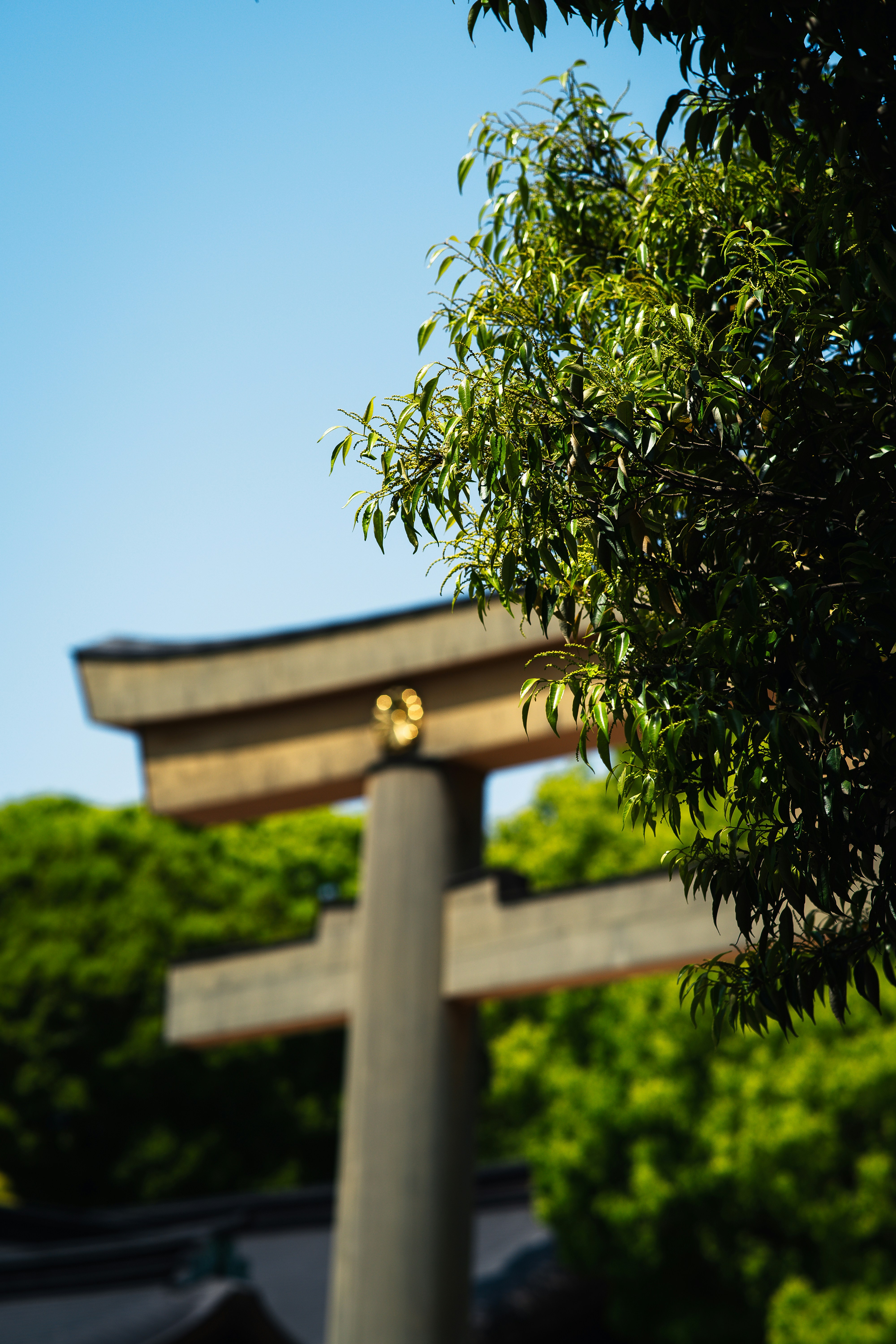 Photo by shields_mcmxcix