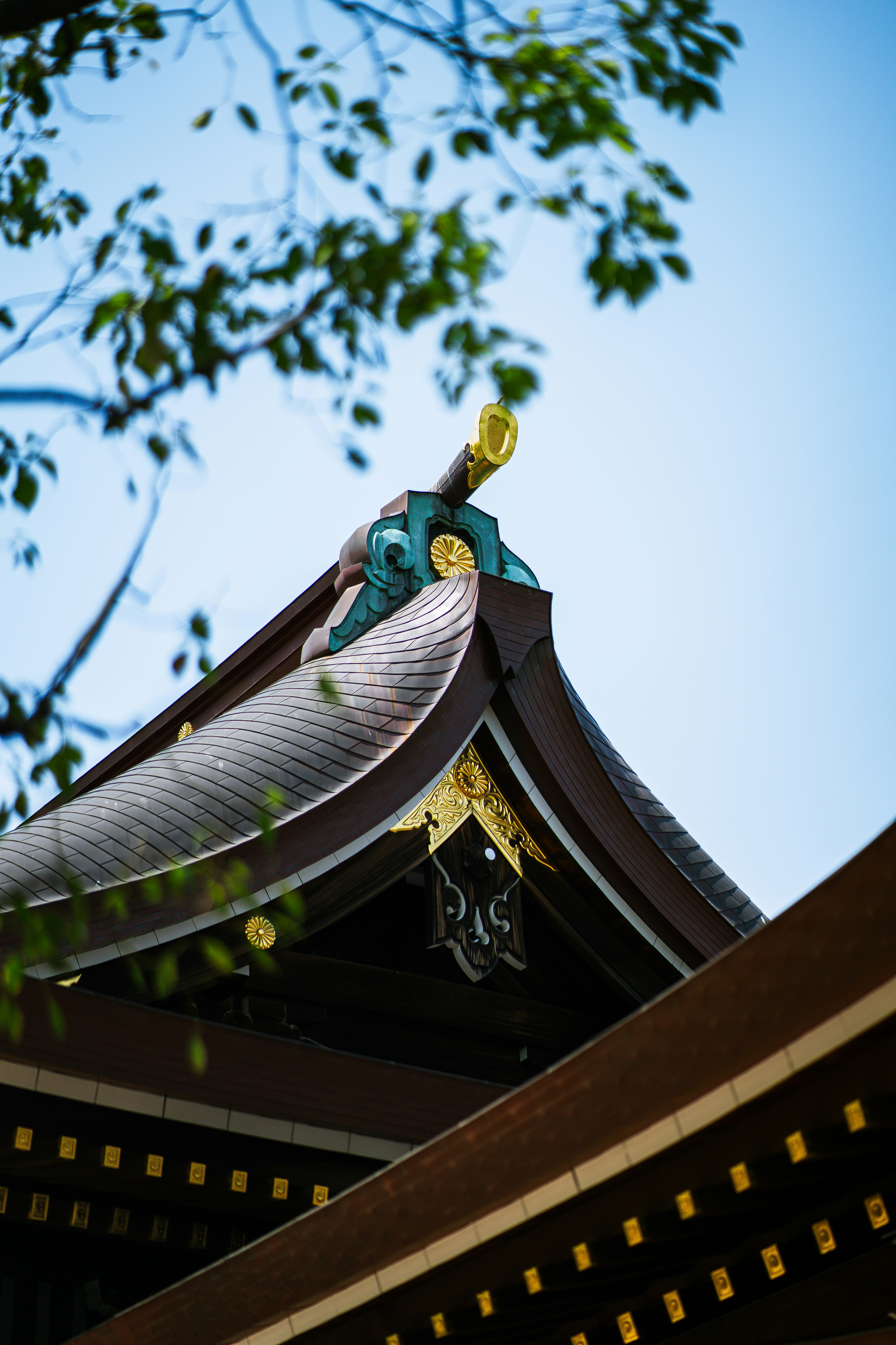 Photo by shields_mcmxcix