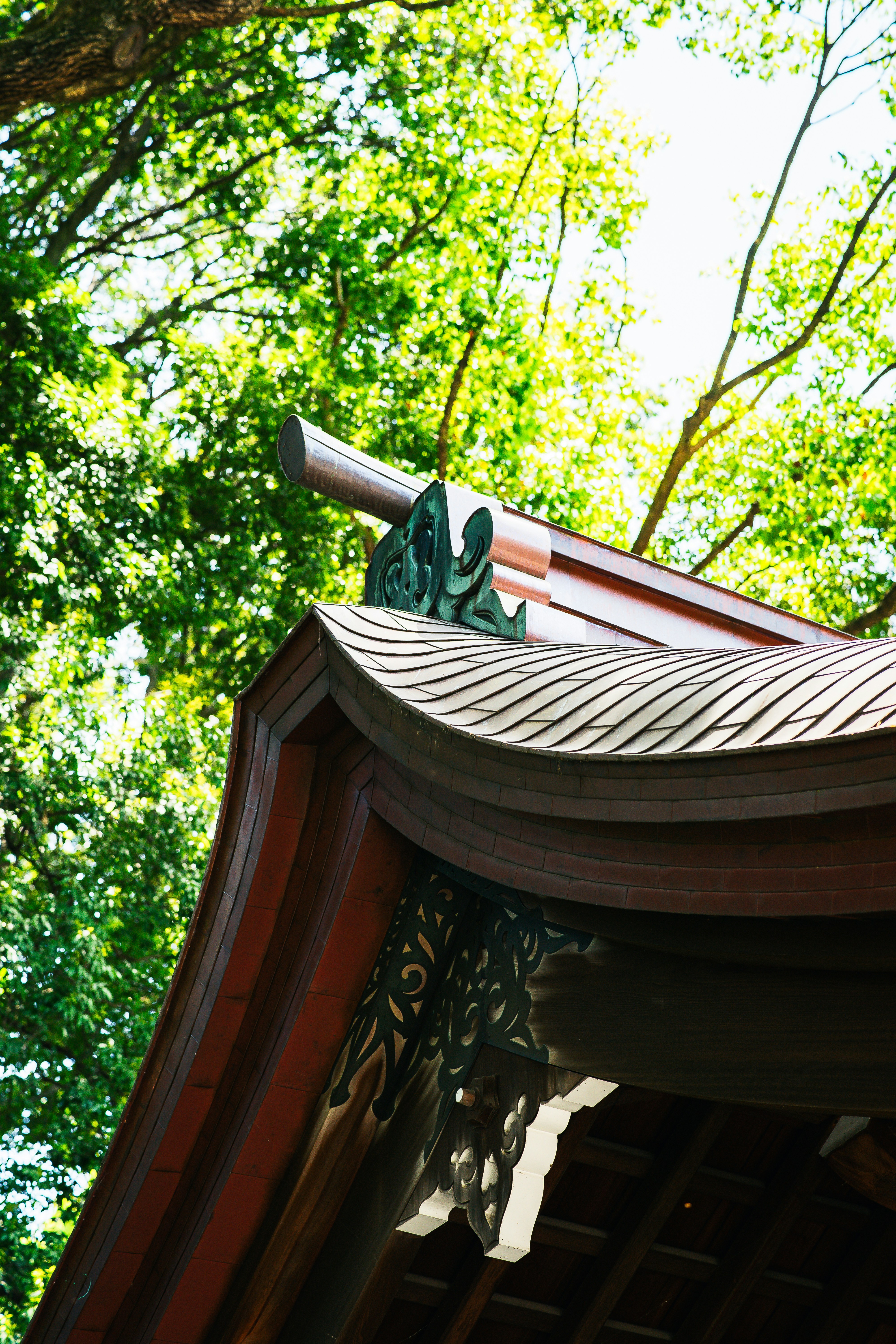 Photo by shields_mcmxcix