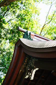 Close-up of intricate wooden carvings on a traditional joglo roof structure