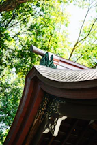 Interior view showcasing warm teak beams and traditional joglo roof craftsmanship.