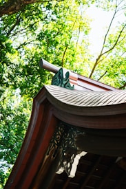 A detailed view of a traditional wooden roof adorned with intricate carvings, set against a backdrop of lush green foliage and bright sunlight filtering through the leaves.