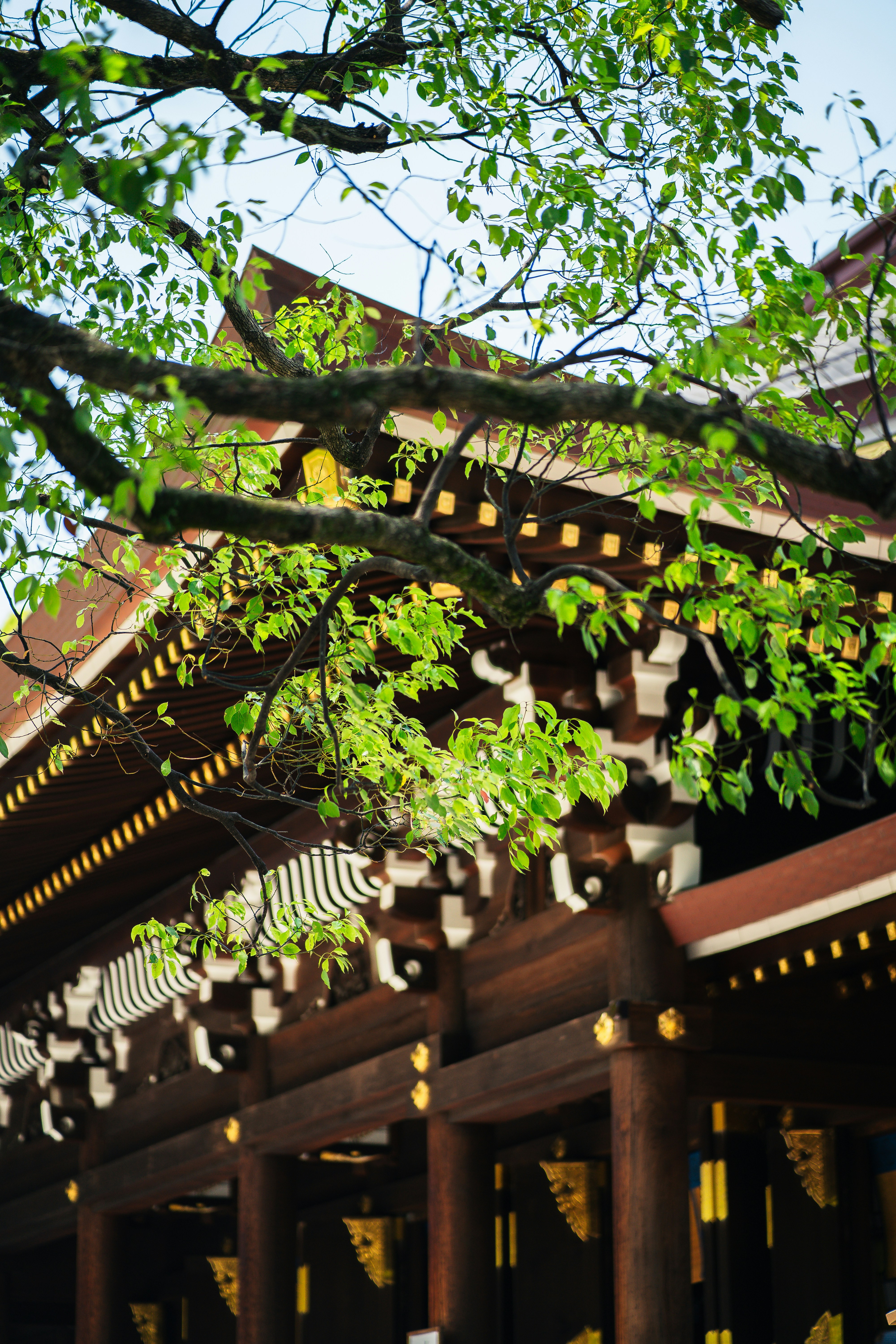 Photo by shields_mcmxcix