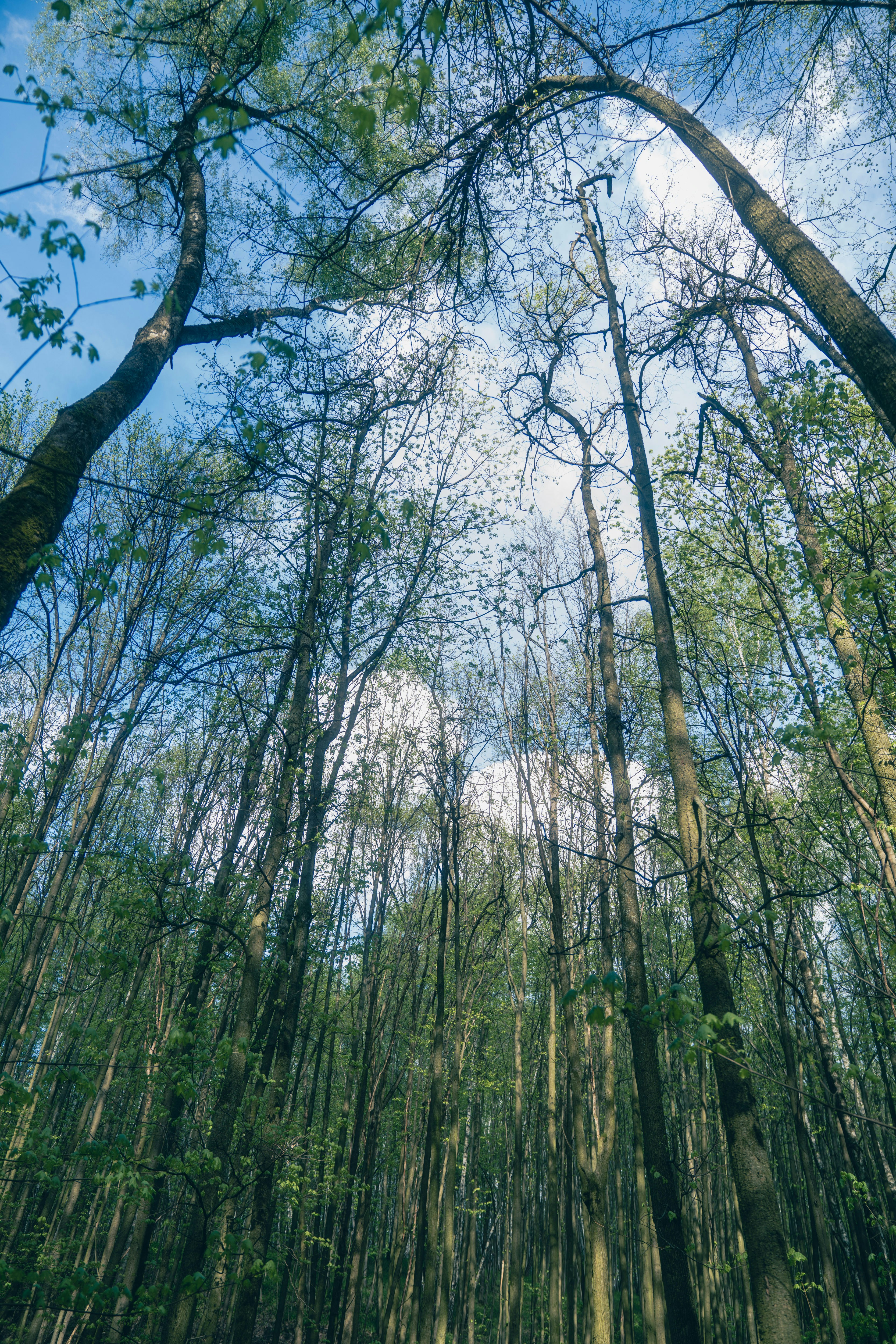 Photo by enivremusic