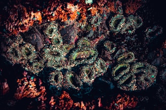 A close-up of a rocky surface covered in colorful mineral deposits and formations. The textures are intricate and varied, with crusty layers and iridescent patches appearing within the rough structure.