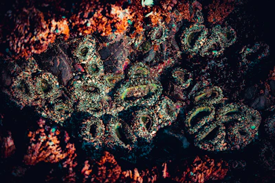 Close-up of a geologist carefully collecting mineral core samples in a controlled environment.