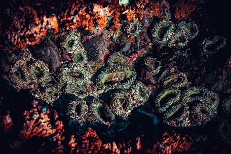 A close-up of a rocky surface covered in colorful mineral deposits and formations. The textures are intricate and varied, with crusty layers and iridescent patches appearing within the rough structure.