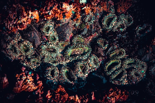 A close-up of a rocky surface covered in colorful mineral deposits and formations. The textures are intricate and varied, with crusty layers and iridescent patches appearing within the rough structure.